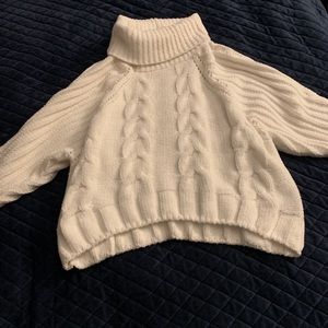 Turtleneck Sweater